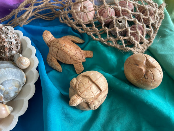 Wooden turtle life cycle set