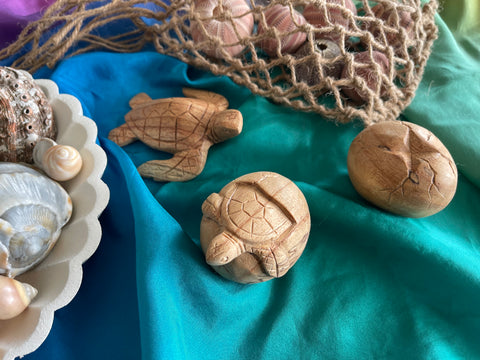 Wooden turtle life cycle set