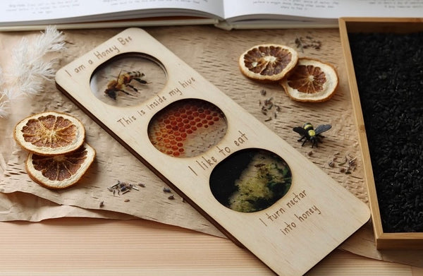 Honey Bee ecosystem board + stand