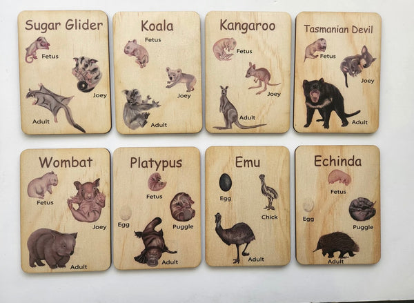 Australian animal lifecycle card set of 8