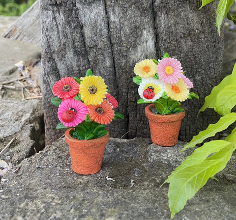 Daisy pot- assorted colours