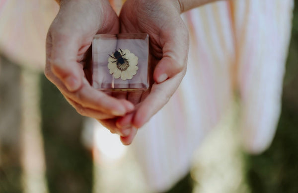 Bee and Flower Specimen