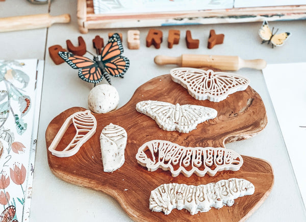 Monarch butterfly life cycle Eco cutter set