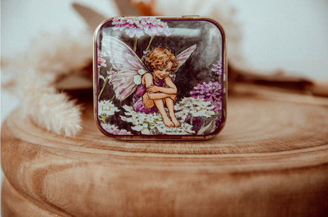Flower fairies tin- Candy tuft